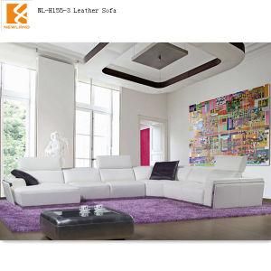 Newland Furniture Leather Sofa Casual Sofa (NL-H155-3)