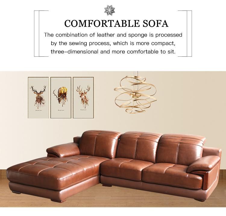 Brown Leather Living Room Sectional L Shape Modern Sofa