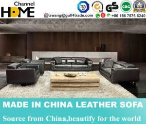 Best-Selling Commercial Geniune Leather Sofa for Living Room (HC3011)