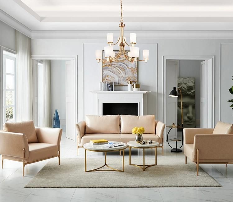 China Wholesale Leather Modern Sofa with Feather Cushion