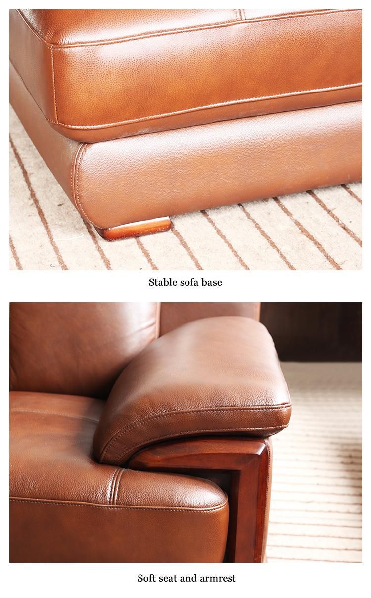 Brown Leather Living Room Sectional L Shape Modern Sofa