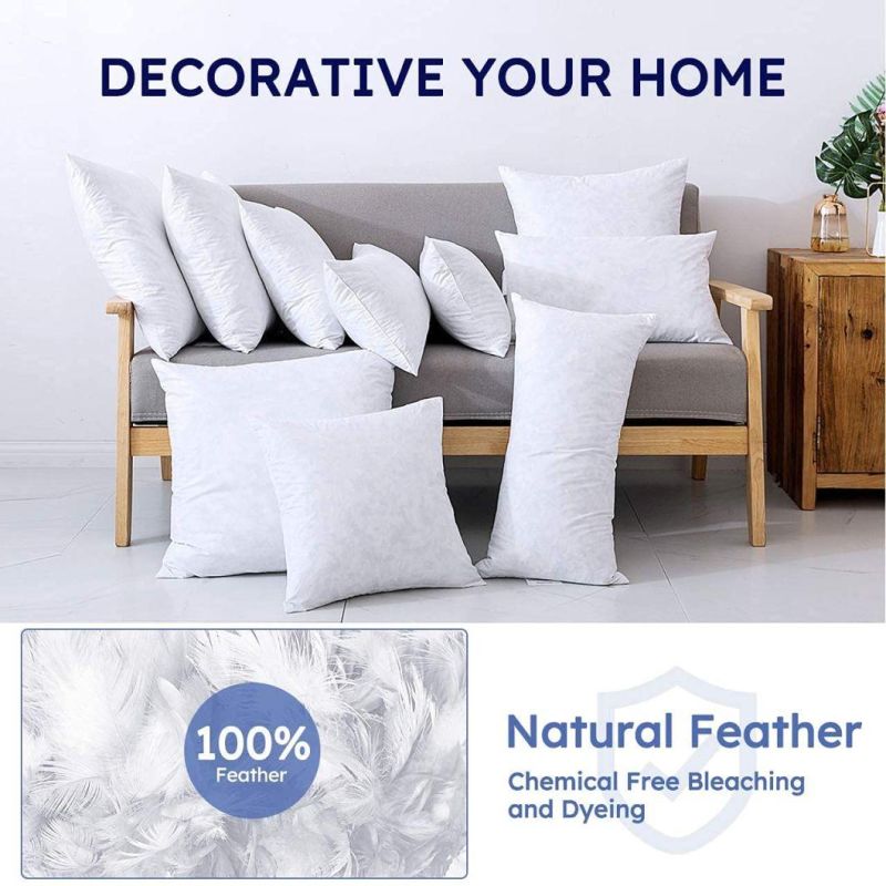 Manufacturer Wholesale 100 Goose Down and Feather Pillow in China