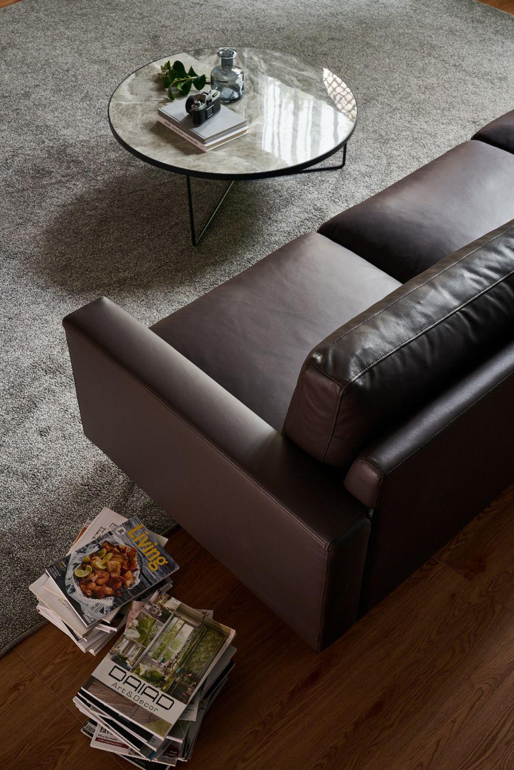 Hot Sale Home Furniture Sofa Genuine Leather Sofa Living Room Furniture GS9049