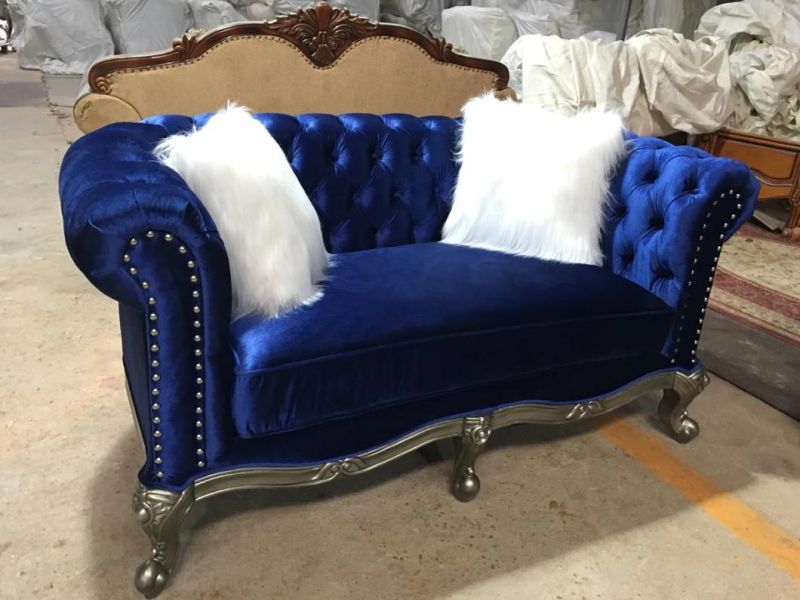Show Wood Base Fabric Sofa with Long Hair Pillows