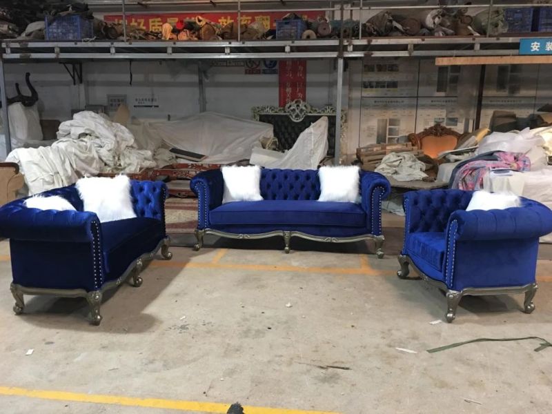 Show Wood Base Fabric Sofa with Long Hair Pillows