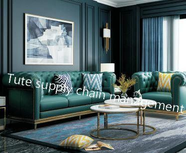 Luxury Living Room Leather Sofa Set Furniture Design Modern Leather