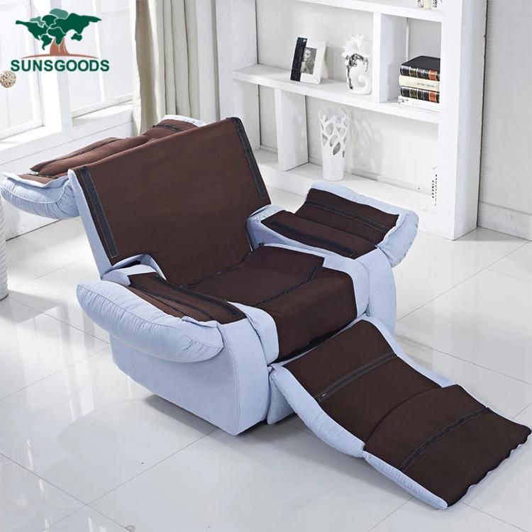Massage Chair Electric Lift Chair Recliner Luxury Chair for Living Room