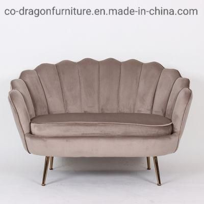 Modern Fashion Two Seats Living Room Sofa for Home Furniture