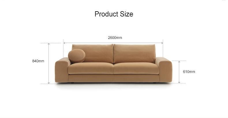 Medium Back Non Inflatable Carton Iron Leg Moder Design Fabric Sofa