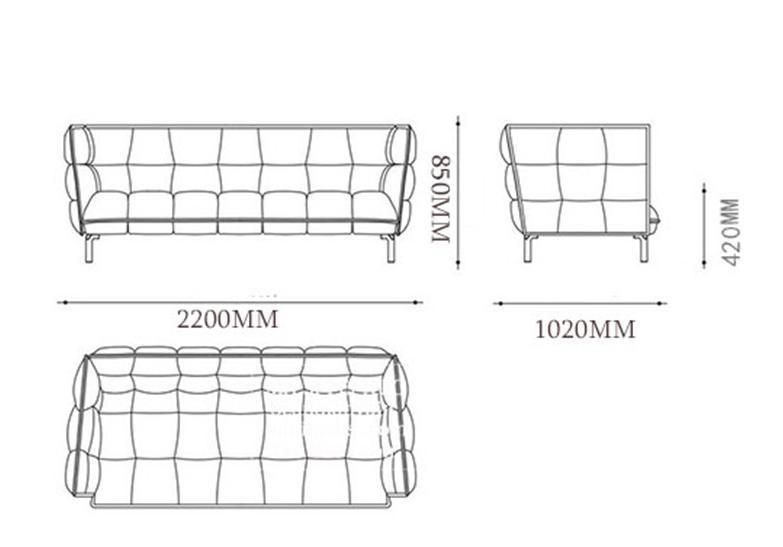 New Modern Young Fabric Upholstery Leisure Sofa for Home Hotel Living Room