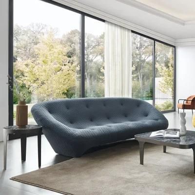 Modern Fabric Sofa by Ligne Roset for Living Room Furniture Set