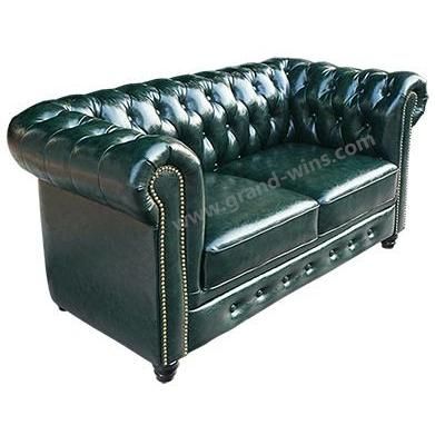 Popular Replica Vintage Leather Sofa for Living Room (2 Seater)