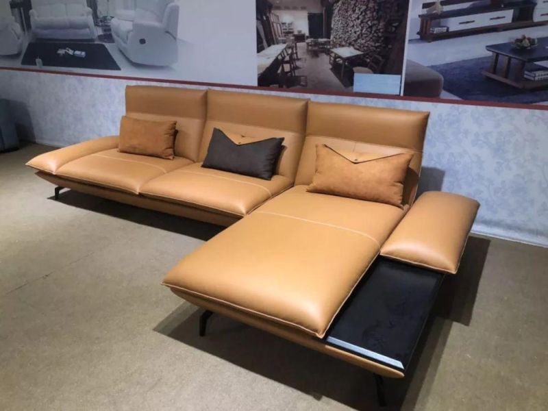 Customized European Style Furniture Living Room Sofa Leather Sofa GS9029