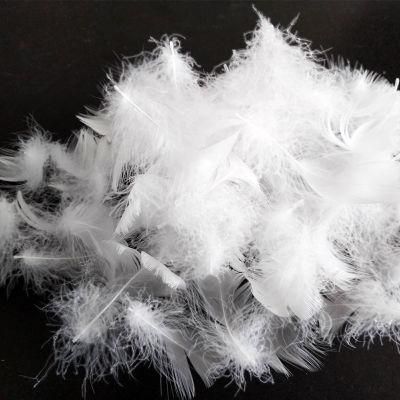 Goose Down Manufacturer Supply White Goose Feather Filling Material for Sofa