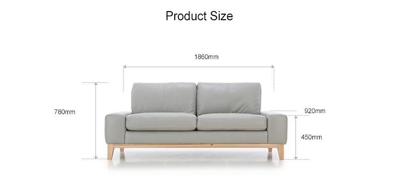 Hot Sale with Armrest Medium Back Genuine Sofa
