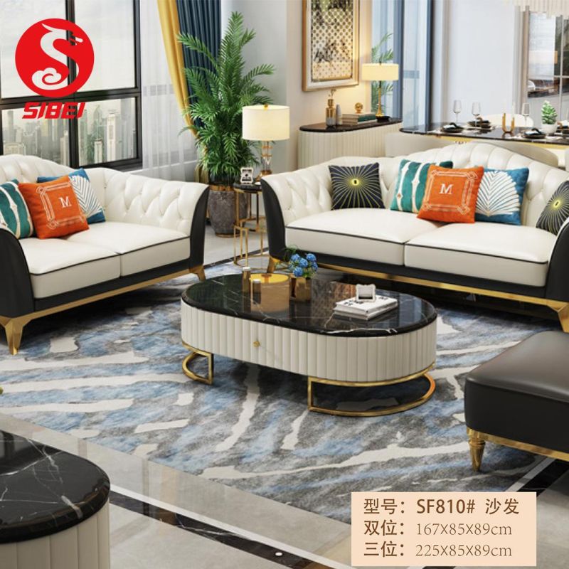 Chinese Manufacturer Customize Modern Home Living Room Luxury Leather Sofa (SS-Y810A)