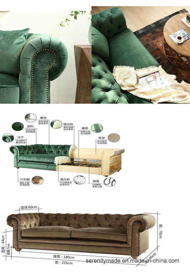 Living Room Furniture European Style Luxury Modern Classic Button Tufted Nailhead Trim Velvet Chesterfield Sofa
