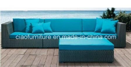 F- Leisure Outdoor Furniture Wicker Garden Sofa (CF-2606)