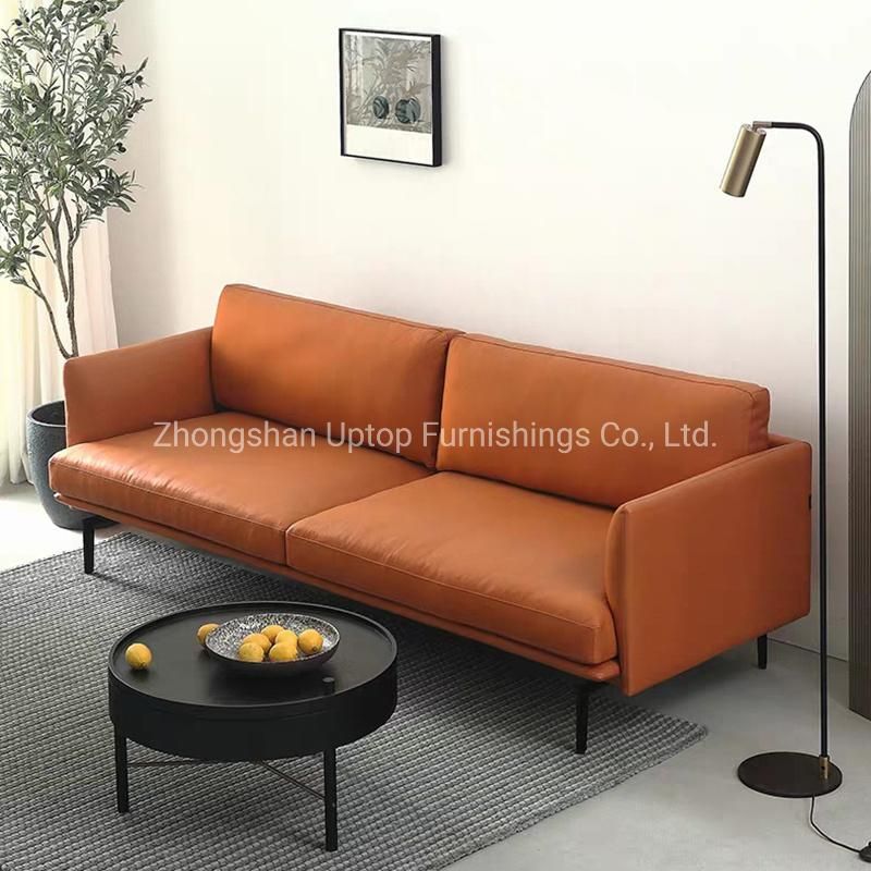 Factory Customized Hot Living Room Sofa for Sales (SP-SF201)