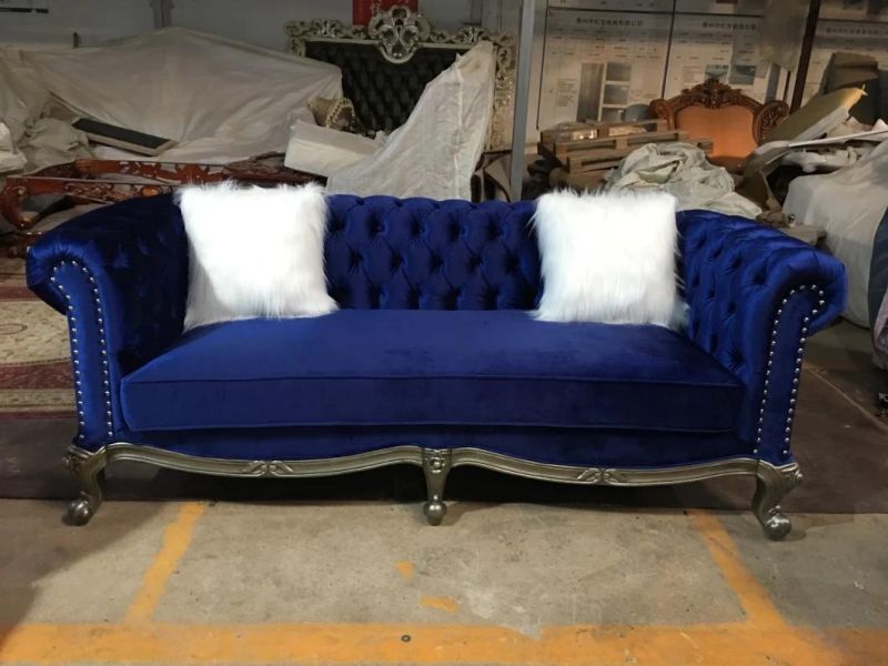 Show Wood Base Fabric Sofa with Long Hair Pillows