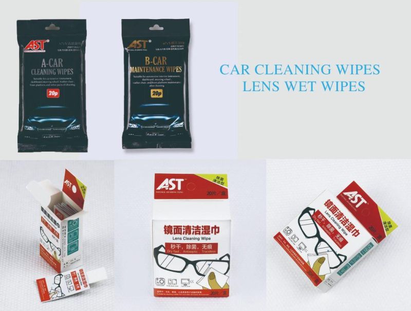 OEM/ODM Car or Sofa Cleaning Wet Wipes for Leather