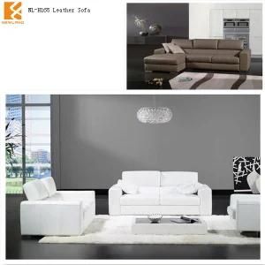 Newland Furniture, Modren Leather Sofa Sale (NL-H165-1)