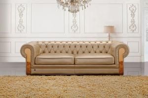 Modern Luxury Living Room Leather Sofa Set (HC3009)
