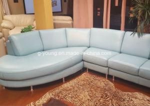 Customized Leather Home Sofa Set