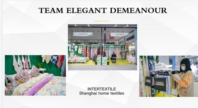 100% Polyester Super Soft and Cozy Microfiber Jacquard Blanket for Sofa Super Soft Fleece Blanket Flannel Fleece Blanket F