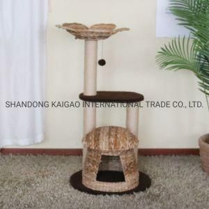 Unique Design Natural Cat Tree with Flower Sofa and Mushroom Cave