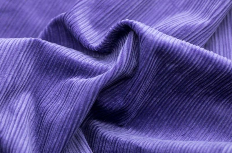 100% Cotton Corduroy and Velvet Fabric for Sofa Interior