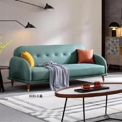 Double Seat Sofa Cum Bed New Design Living Room Sofabed