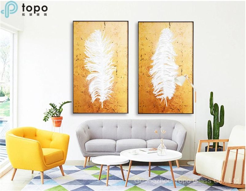 Modern Style Decorative 3D White Feather Art Paintings (MR-YB6-2041B)