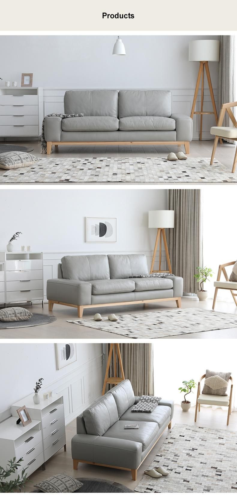 Contemporary Design Genuine Leather Sofa for Living Room