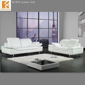 Modern Leather Sofa Factory (NL-H159)