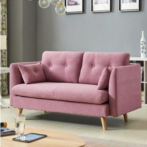 Small Apartment Living Room Pink Design 2 Seater Fabric Sofa