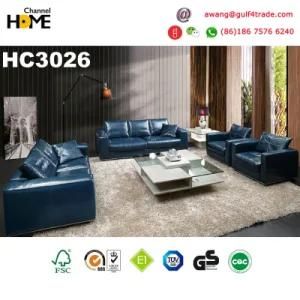 Italian European Design Genuine Leather Sofa (HC3026)