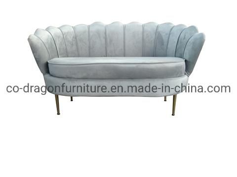 Modern Fashion Two Seats Living Room Sofa for Home Furniture