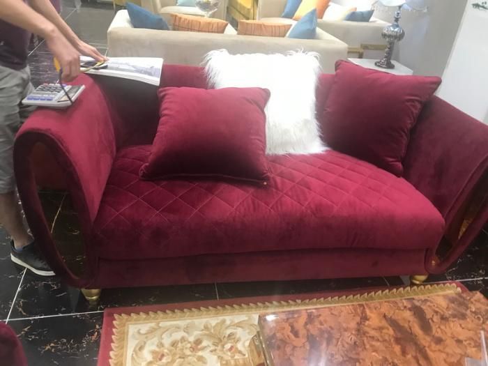 Solid Wood Frame Sofa with Fabric Velvet with Stainless Steel for Living Room Modern Furniture