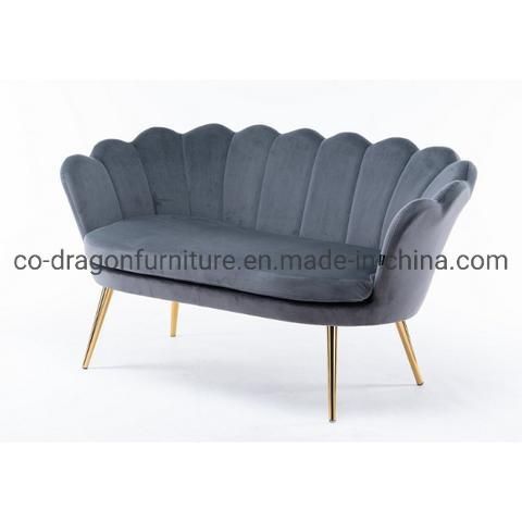 Modern Fashion Two Seats Living Room Sofa for Home Furniture
