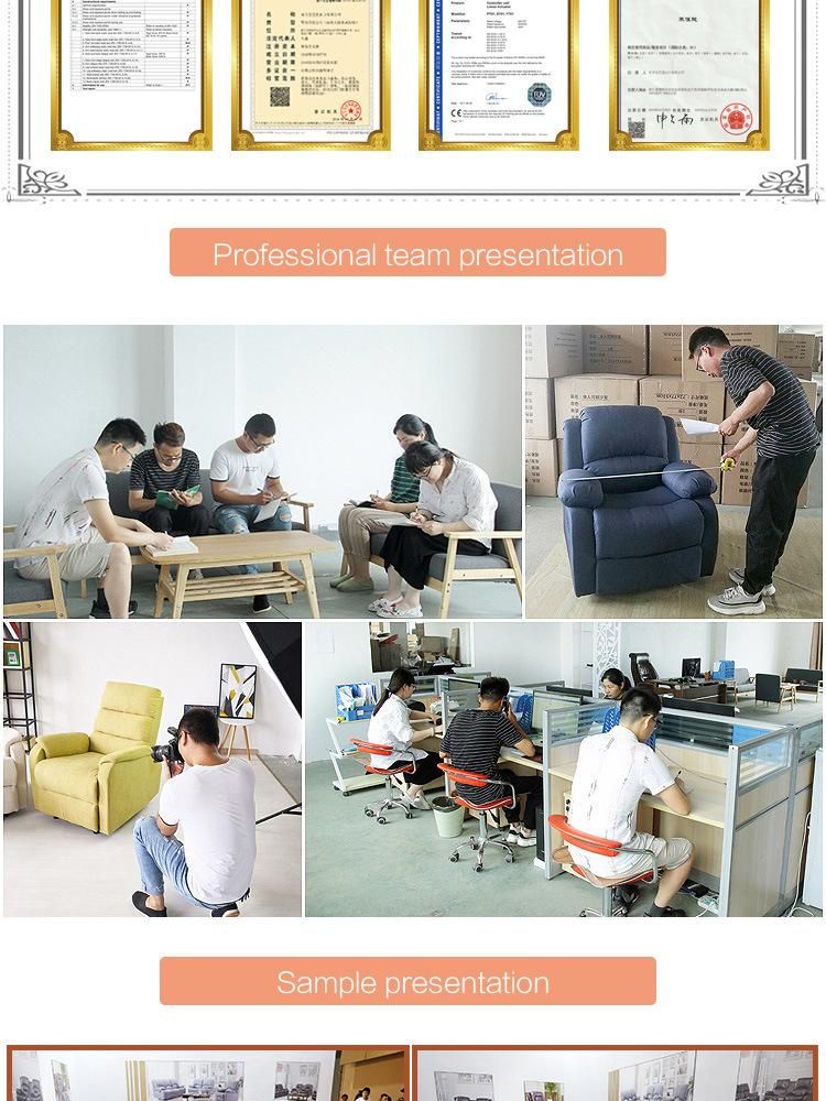 European Stylish Electric Motor Recliner Lift Chair Sofa for Elderly