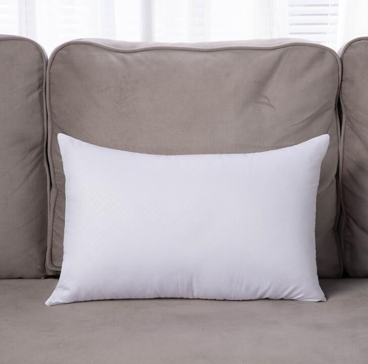 Throw Pillow for Couch Pillows or Bed Decorative Insert Square/100% Polyester Indoor