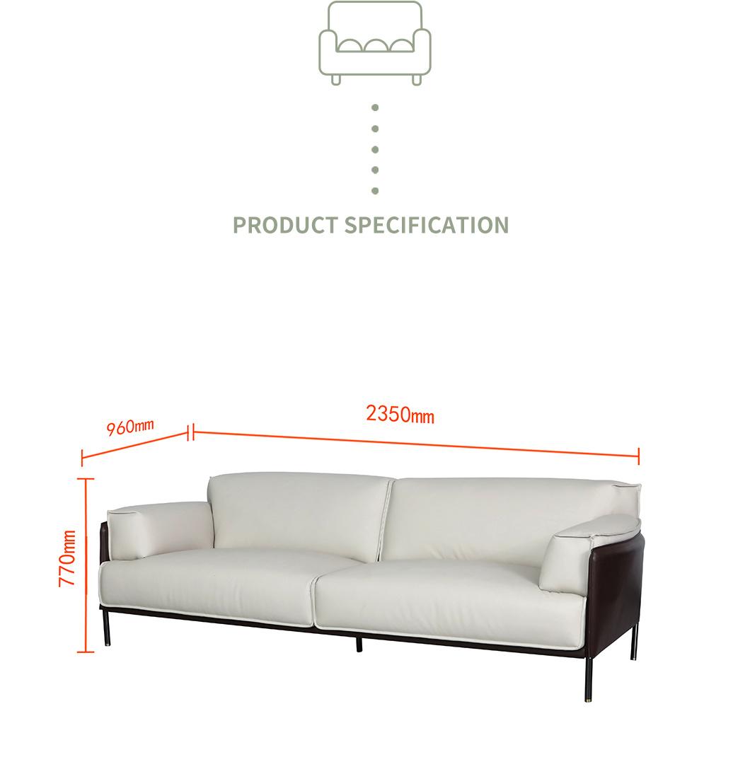Customized Color and Size 2 Seater Living Room Leather Sofa